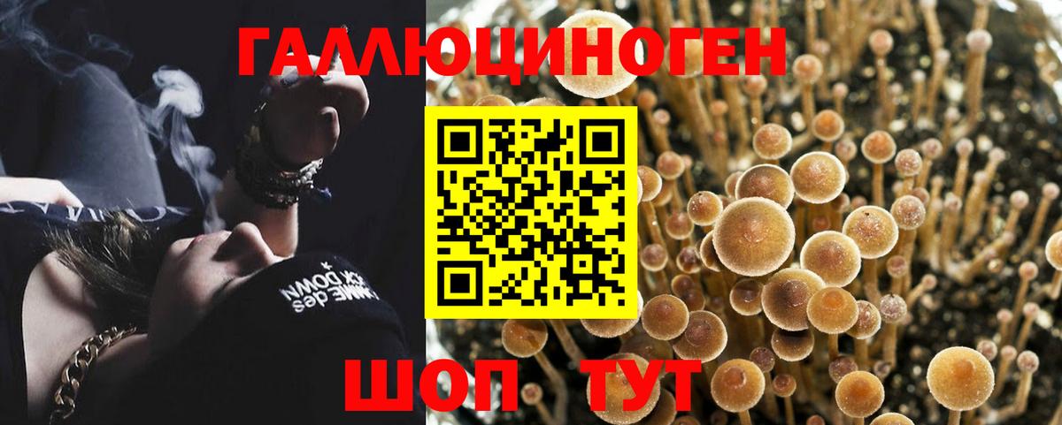 Галлюциногенные грибы Cubensis  где продают наркотики  Красноармейск  Вход с VPN 